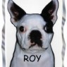 Roy Inst